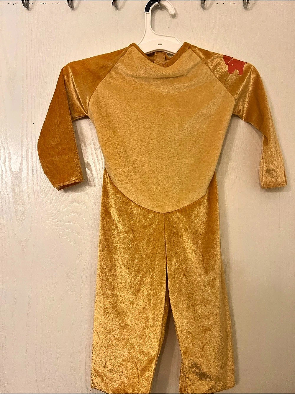 Halloween Lion Costume - Picture 2 of 4